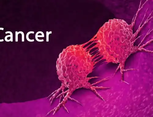ကင်ဆာရောဂါကို ဖြစ်ပွားမှုကို လျှော့ချပေးမယ့် သဘာဝဆေး