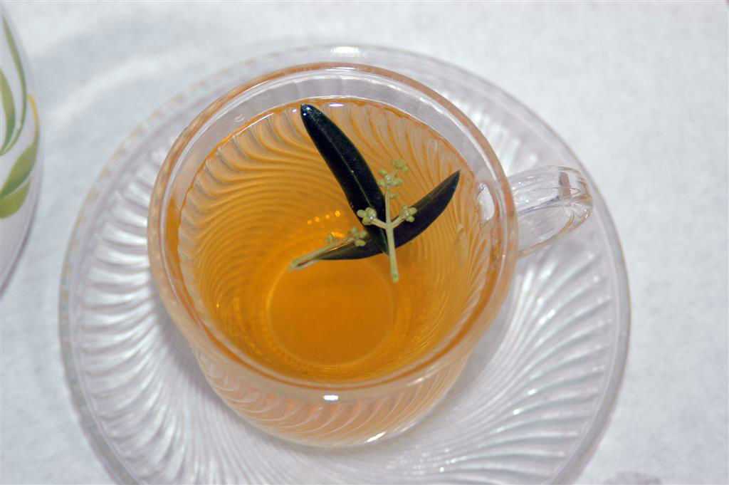 Olive-Leaf-Tea-Experience-The-Healing-Power-of-Olive-Tree