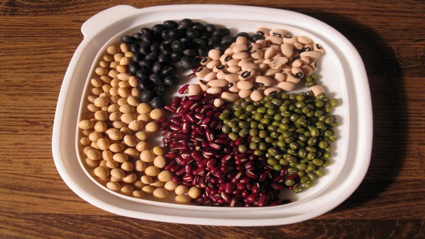 foods-to-prevent-cancer-beans