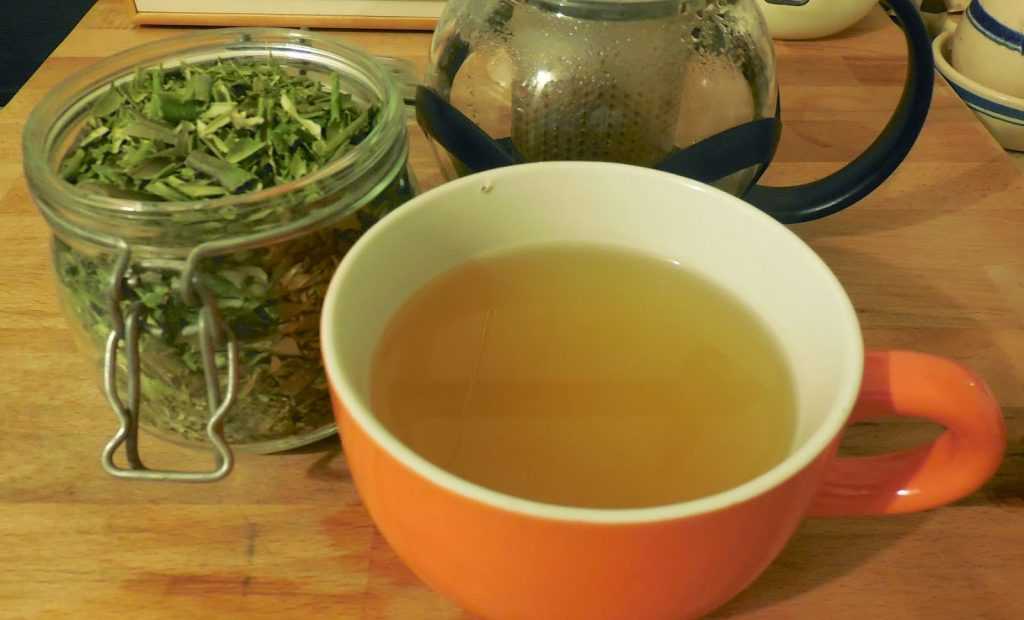 olive-leaf-lefoody-tea