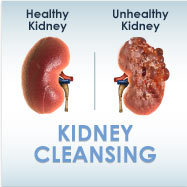 Cleansing_Kidney