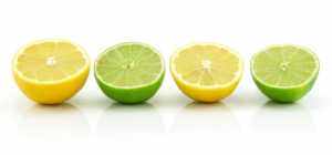 Ripe Sliced Lime and Lemon Isolated on White