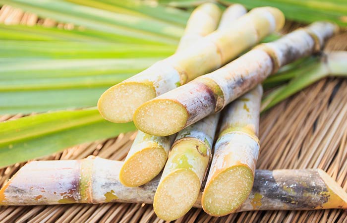 Sugarcane-A-Brief