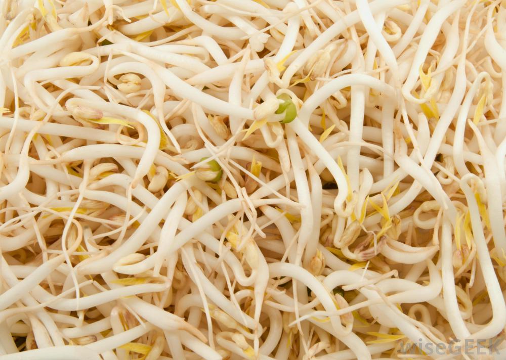 mung-bean-sprouts