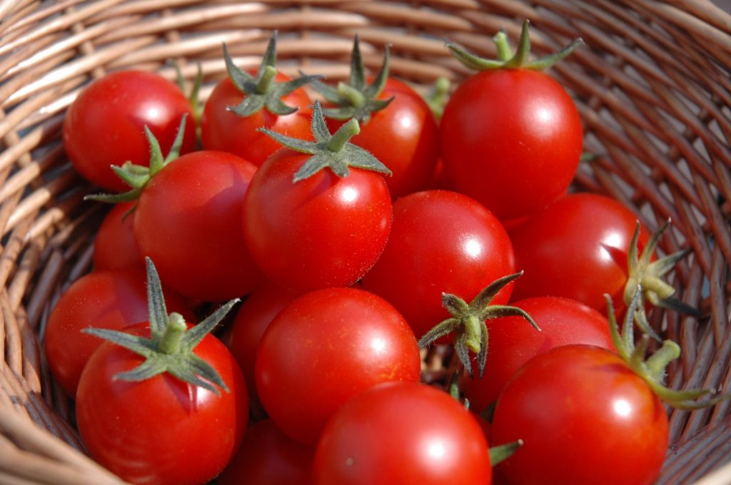 homegrown-tomatoes-basket