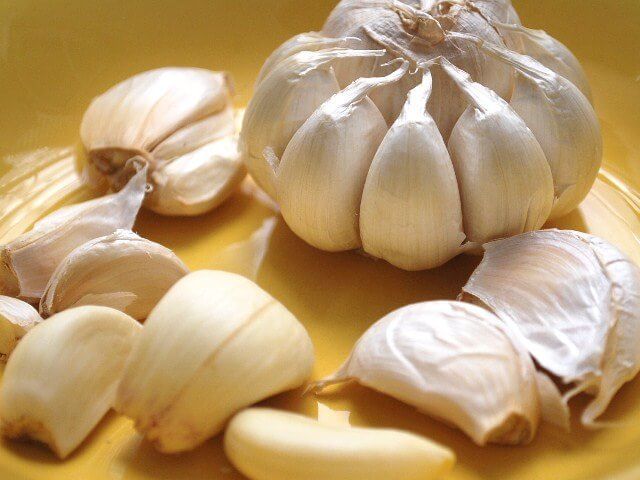 Garlic-1