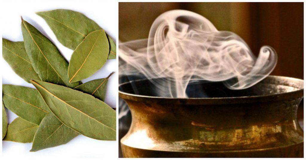 Forget-Incense.-This-Is-Why-You-Should-Burn-Bay-Leaves-In-Your-Home.
