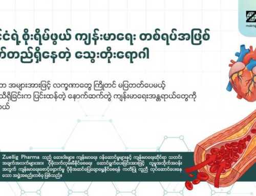 မြန်မာနိုင်ငံရဲ့ စိုးရိမ်ဖွယ် ကျန်းမာရေး တစ်ရပ်အဖြစ် ဆက်လက်တည်ရှိနေတဲ့ သွေးတိုးရောဂါ